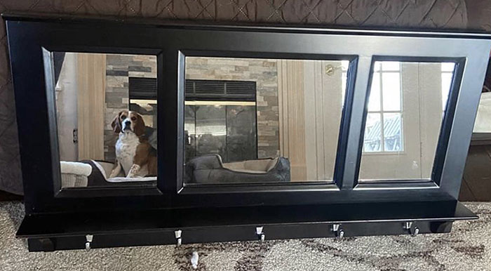 This Good Boy Just Wants You To Buy His Mirror. I Found It On My Local Facebook Marketplace