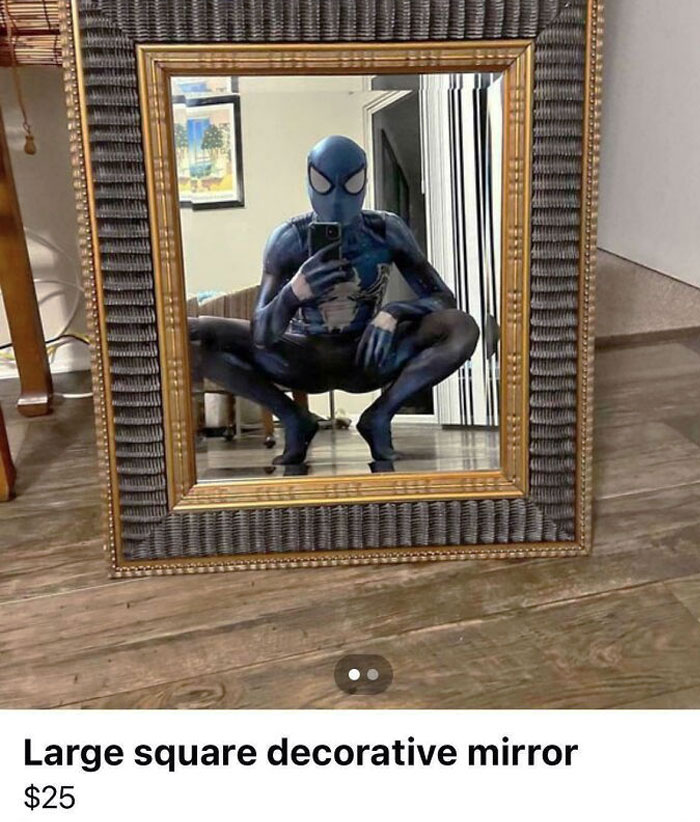 50 Times People Tried To Sell A Mirror, But It Was Really The Reflection That Sold It (New Pics)
