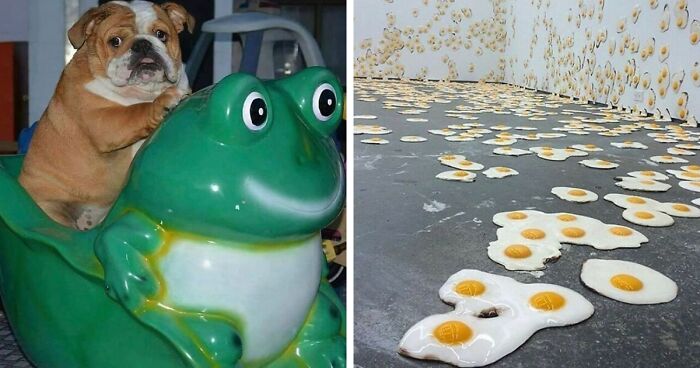 30 Posts That Hold A Lot Of Random Chaos Within, As Seen On This IG Page