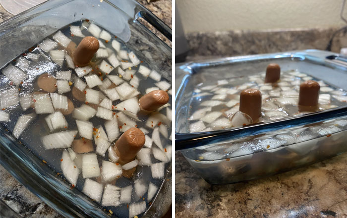 Can Someone Please Explain To Me What Is Going On Here? I Opened My Boyfriend’s Refrigerator To Find This Dish Filled With Clear Jello, Cut-Up Hot Dogs, And Onions. I’m Horrified