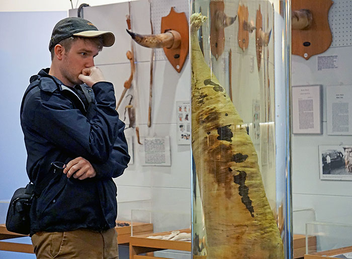 My Wife Got This Picture Of Me Staring At A Whale's Dong In The Icelandic Phallological Museum