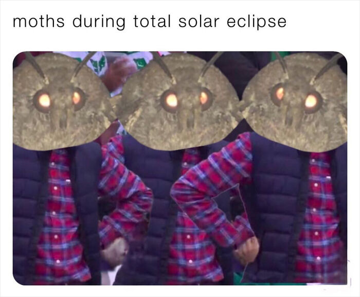 Hilarious-Solar-Eclipse-Memes