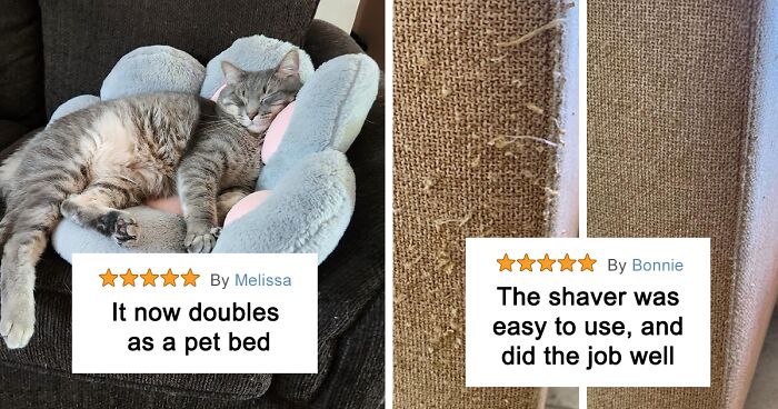 “It Absolutely Blew My Mind”: 50 Traits People Thought Everyone Had, But Were Proven Wrong