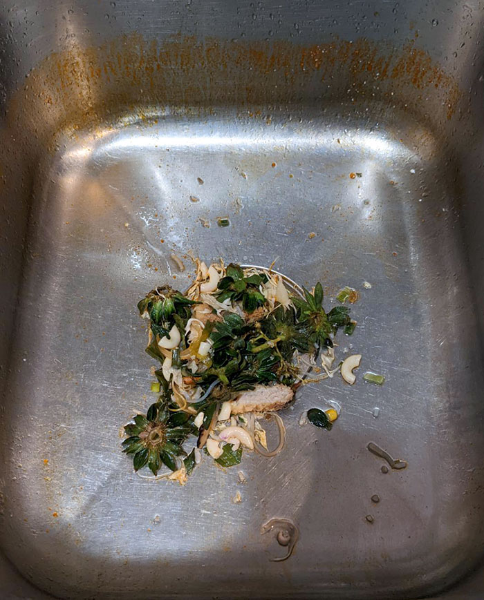 My Wife Just Throws Her Kitchen Scraps In The Sink Instead Of The Trash Can Because "The Disposal Can Handle It." The Sink Disposal Is Not A Trash Can, Right?