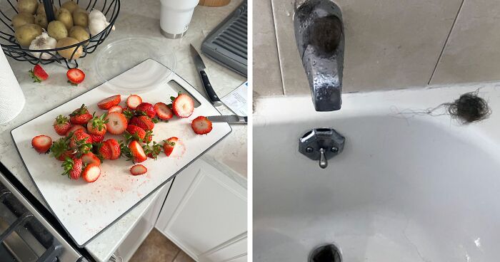 87 Times Men Just Had To Shame Their Wives And GFs For Their Chaotic Behavior