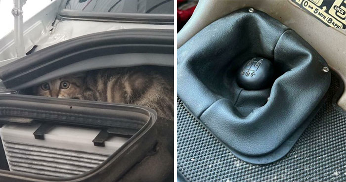 The Best Of Car Mechanics Sharing The Absurd Things People Bring In (103 Posts)