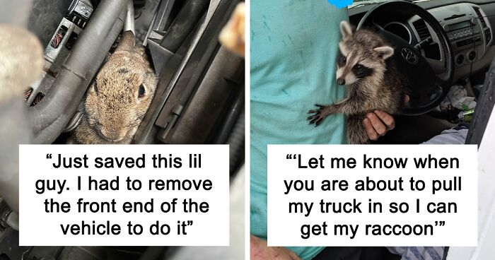 103 Times Car Mechanics Took Pics Of What They Were Dealing With So Others Would Believe Them (Best Of All Time)