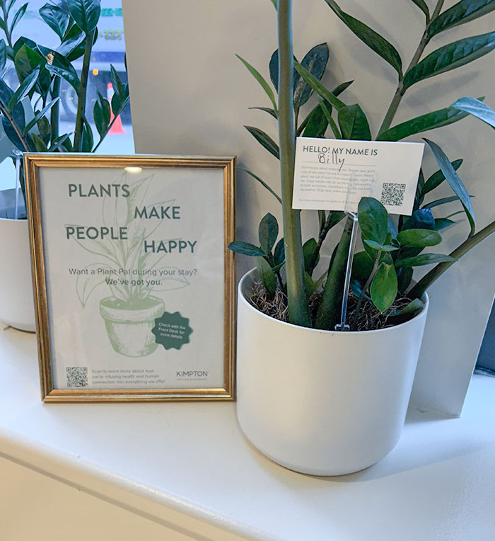 Hotel Has Plants You Can Borrow For Your Room