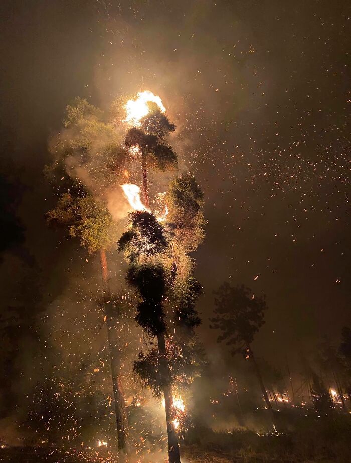 A Picture From Inside One Of British Columbia’s Wildfires