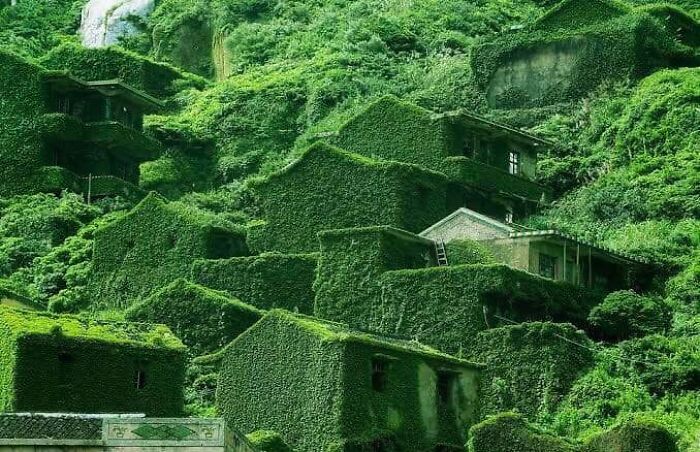 Abandoned Chinese Village That Has Been Reclaimed By Nature