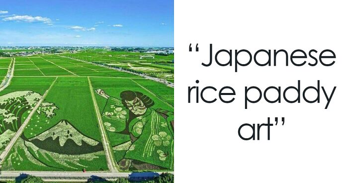 46 Pics That Might Satisfy Your Craving For Knowledge, As Shared On The “Interesting Images” Page