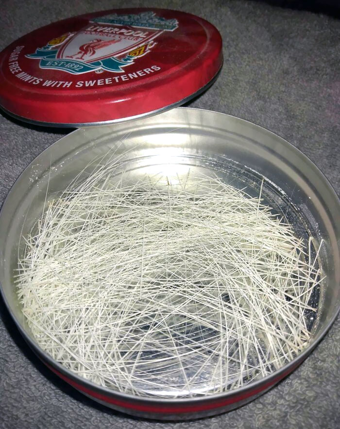 All The Whiskers That I've Collected Over The Years From My Two Cats That Either Broke Off Or Naturally Fell Out