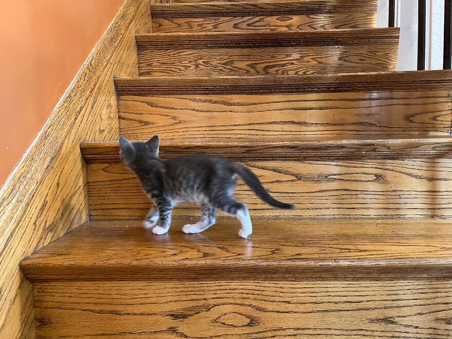 Exploring The Stairs