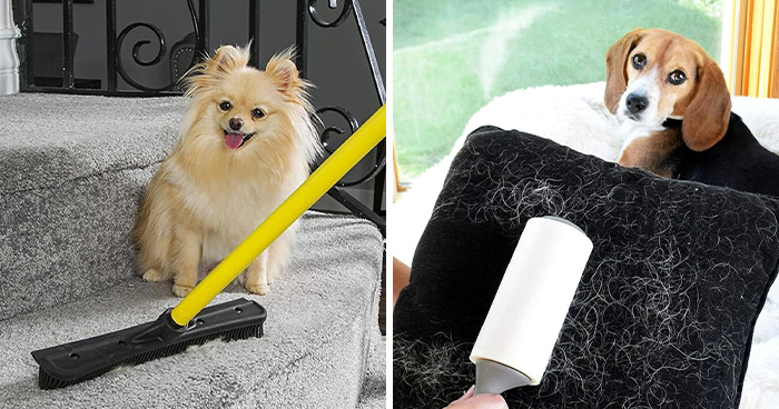 33 Things That’ll Make Your Backyard Look Better