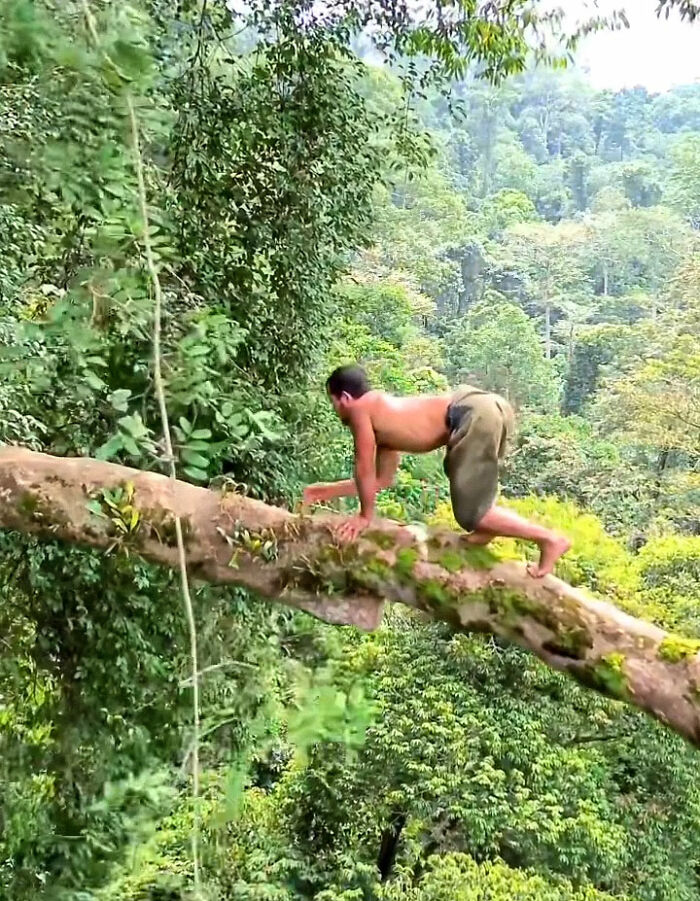 People Amazed By Tree-Swinging Man Who Documented Time With Nomadic Tribe People Amazed By Tree-Swinging Man Who Documented Time With Nomadic Tribe