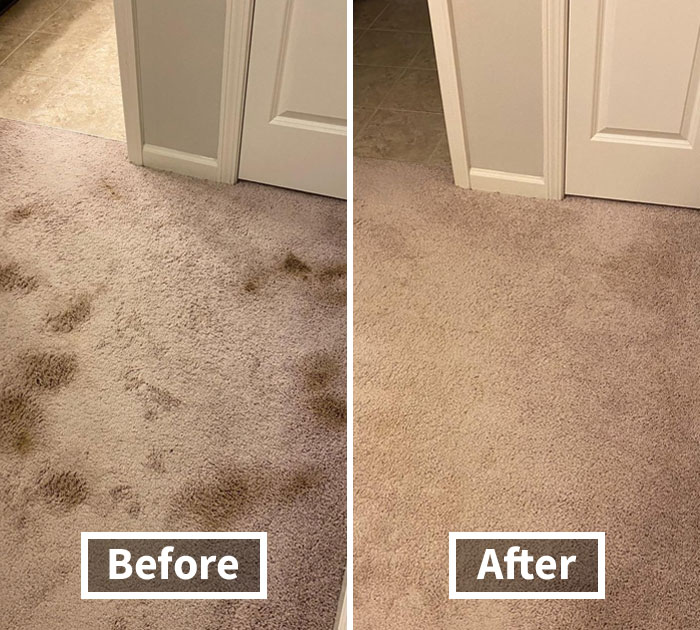 Stains? What Stains? Get Spotless With Folex Instant Carpet Spot Remover!