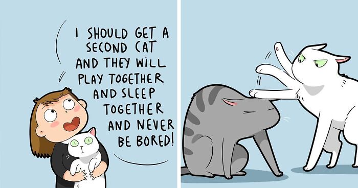 Artist Creates Funny Comics Capturing The Essence Of Living With A Cat (24 New Pics)