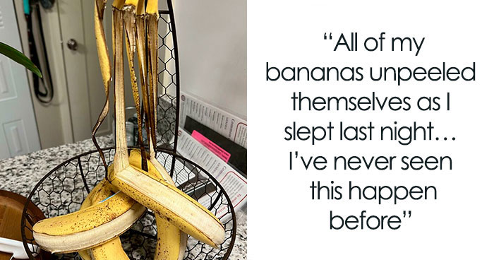 50 Mildly Infuriating Situations That Are Oh-So Relatable (New Pics)