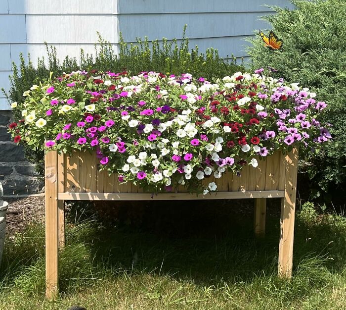 Grow Smarter With Raised Garden Bed: Your Easy Solution For Lush Gardens