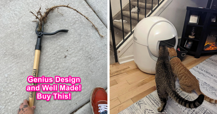 Explore The 100 Coolest Products From Amazon’s Most Wished-for Section