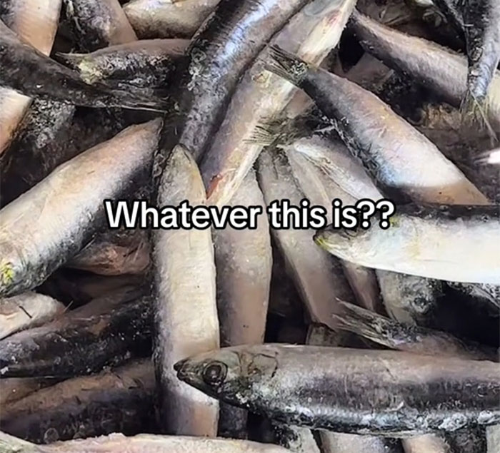 “It’s Really Crazy To Me”: American Goes Viral Sharing Her Culture Shocks In Spain “It’s Really Crazy To Me”: American Goes Viral Sharing Her Culture Shocks In Spain