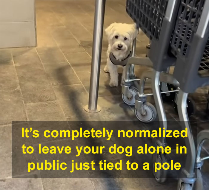 “It’s Really Crazy To Me”: American Goes Viral Sharing Her Culture Shocks In Spain “It’s Really Crazy To Me”: American Goes Viral Sharing Her Culture Shocks In Spain