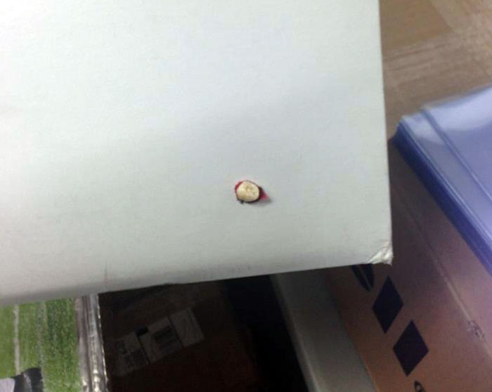 Yep, That's A Bloody Tooth On My UPS Package