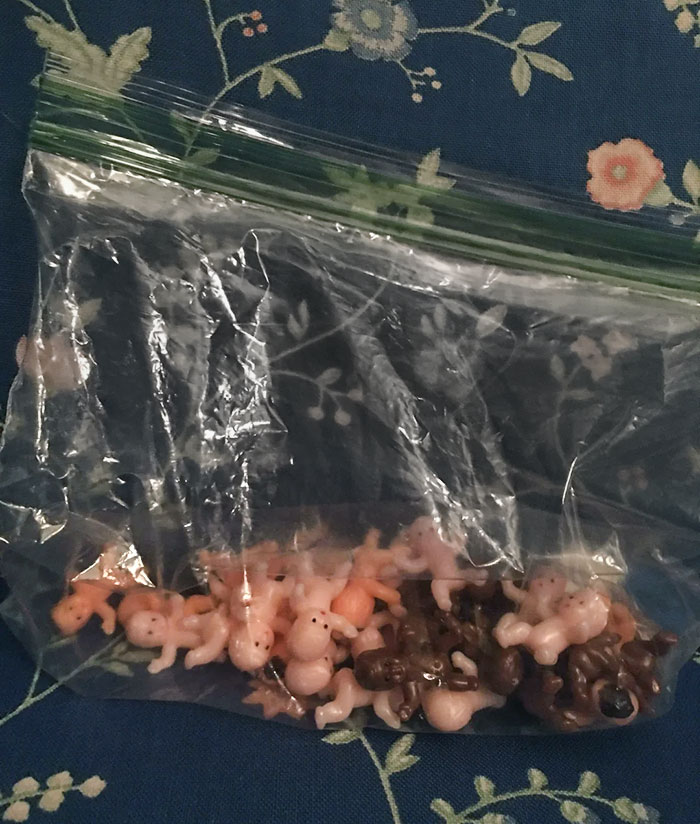 Just A Bag Of Little Babies Mailed To Me By My Aunt