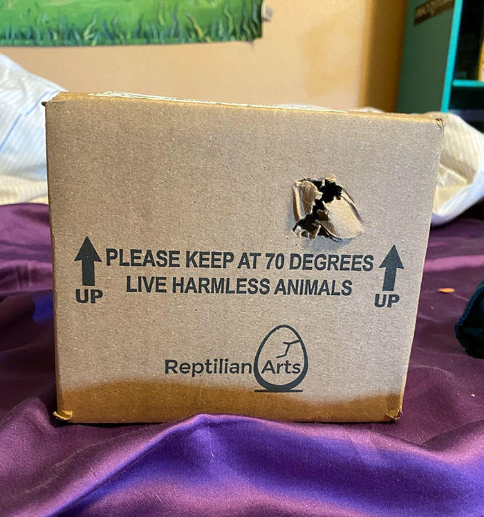 This "Live Harmless Animals" Warning On A Package Addressed To My Roommate