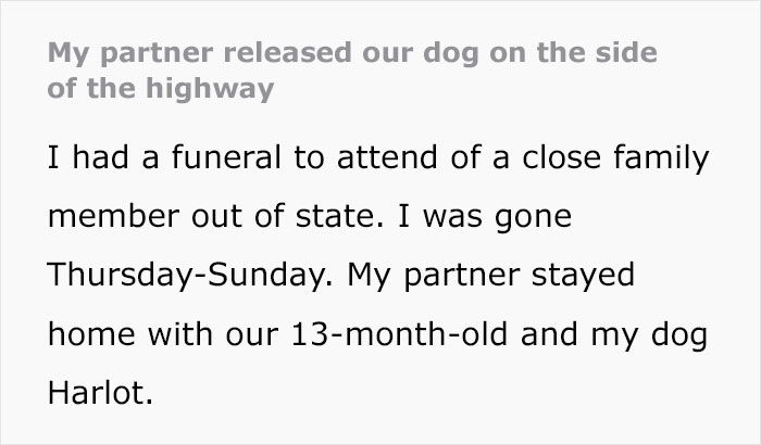 "My Partner Released Our Dog On The Side Of The Highway"