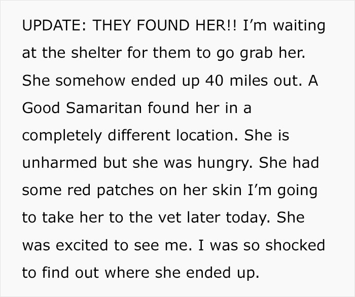 "My Partner Released Our Dog On The Side Of The Highway"
