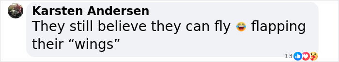 Record-Breaking Footage Captures Hundreds Of Baby Penguins Diving From 50-Foot Cliff Record-Breaking Footage Captures Hundreds Of Baby Penguins Diving From 50-Foot Cliff