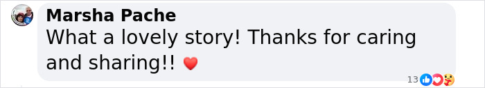 Unable To Migrate To Mexico, A Monarch Butterfly Found A New Home With A Loving Family In Canada Unable To Migrate To Mexico, A Monarch Butterfly Found A New Home With A Loving Family In Canada