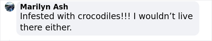 Failed “Forest City” Mega-Project Is Now Reportedly Filled With Crocodiles Failed “Forest City” Mega-Project Is Now Reportedly Filled With Crocodiles