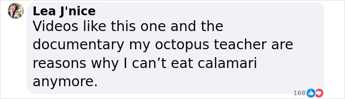 "He Wanted Me To Follow Him": Diver's Interaction With Curious Octopus Leads To Shrine Discovery "He Wanted Me To Follow Him": Diver's Interaction With Curious Octopus Leads To Shrine Discovery