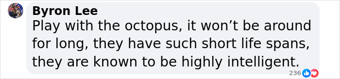 "He Wanted Me To Follow Him": Diver's Interaction With Curious Octopus Leads To Shrine Discovery "He Wanted Me To Follow Him": Diver's Interaction With Curious Octopus Leads To Shrine Discovery