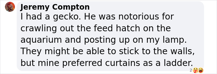 Biologist’s First Thought After Seeing This New Gecko Species Is “Starry Night”, Names It “Vangoghi” Biologist’s First Thought After Seeing This New Gecko Species Is “Starry Night”, Names It “Vangoghi”