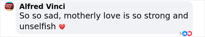 “Motherly Love Is So Strong”: Aussie Mom Thrusts Baby To Strangers In Last Heroic Act “Motherly Love Is So Strong”: Aussie Mom Thrusts Baby To Strangers In Last Heroic Act