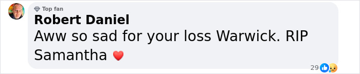 Fans Stunned After Warwick Davis Reveals His Wife Passed Away Nearly A Month Ago Fans Stunned After Warwick Davis Reveals His Wife Passed Away Nearly A Month Ago