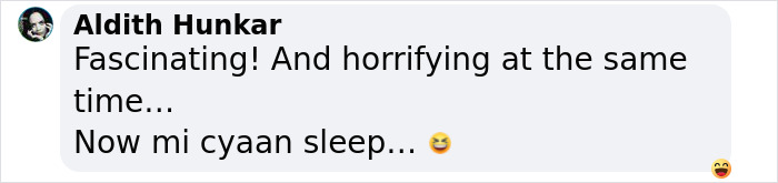 Meet Gaia-BH3, The Largest Stellar Black Hole Ever Spotted And The 2nd-Nearest To Earth Meet Gaia-BH3, The Largest Stellar Black Hole Ever Spotted And The 2nd-Nearest To Earth