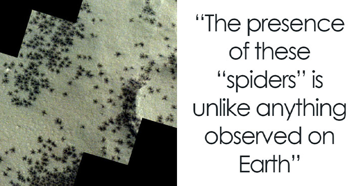 Hundreds Of Black “Spiders” Spotted On The Surface Of Mars In New Photos
