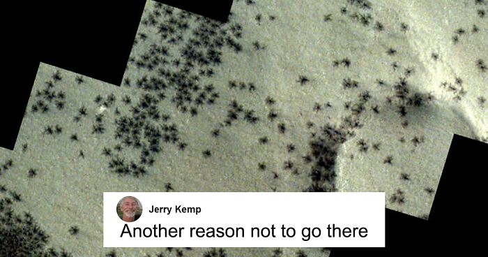 Hundreds Of Black “Spiders” Spotted On The Surface Of Mars In New Photos