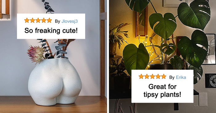 33 Things That’ll Make Your Backyard Look Better