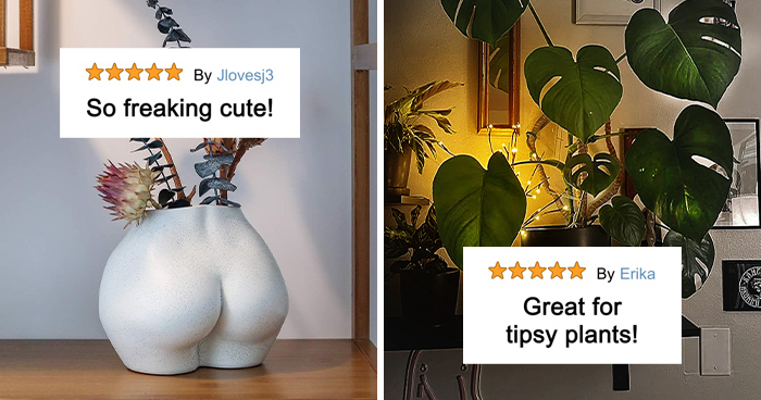 27 Must-Haves For Plant Parents Reaching For The Leafy Pinnacle