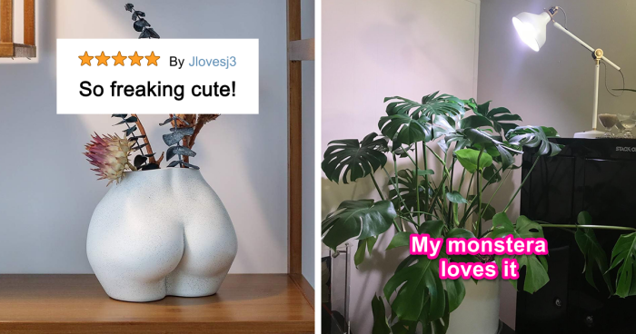 27 Must-Haves For Plant Parents Reaching For The Leafy Pinnacle