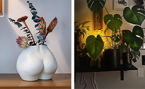 27 Must-Haves For Plant Parents Reaching For The Leafy Pinnacle