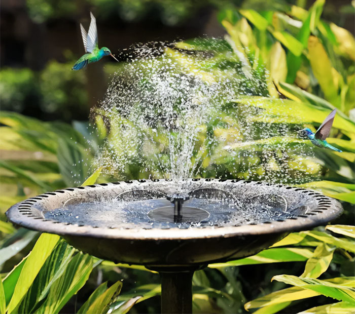 Transform Your Oasis With The Floating Solar Powered Water Fountain