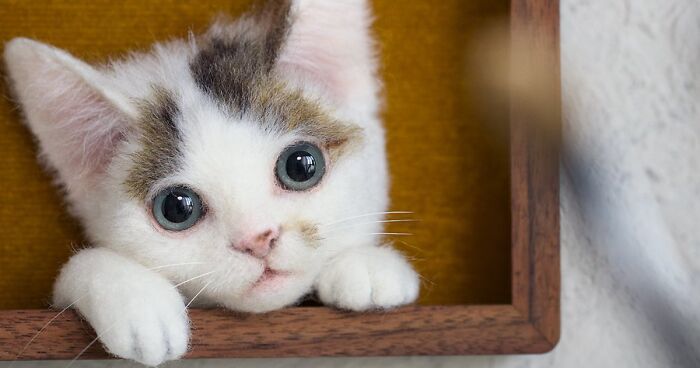 This Japanese Artist Crafts Hyper-Realistic 3D Cat Portraits From Felted Wool (22 New Pics)