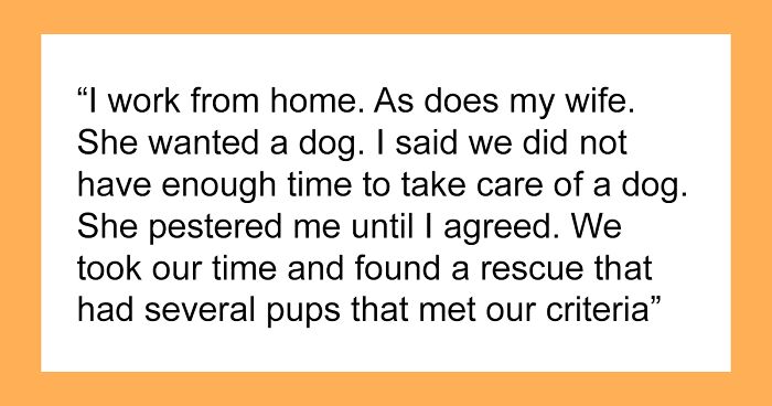 “AITA For Refusing To Take Any Responsibility For My Dog Until My Wife Was Forced To Rehome Him?”