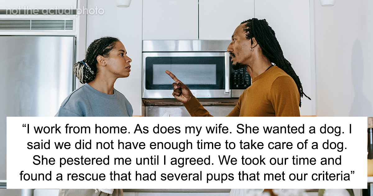 Wife Learns Her Mistake After She Buys Husband A Dog And Is Forced To Rehome It After 2 Weeks - Vimarsana News